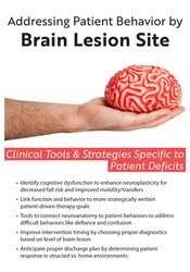 Addressing Patient Behavior by Brain Lesion Site -Clinical Tools & Strategies Specific to Patient Deficits - Jerome Quellier