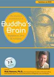 Buddha's Brain -The Practical Neuroscience of Happiness