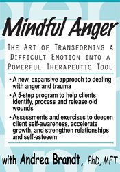 The Art of Transforming a Difficult Emotion into a Powerful Therapeutic Tool - Andrea Brandt