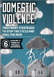 Domestic Violence -Treatment Strategies to Stop the Cycle and Heal the Pain - Joan Benz