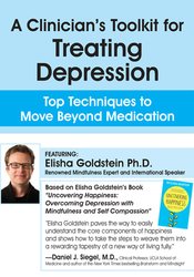 A Clinician's Toolkit for Treating Depression -Top Techniques to Move Beyond Medication - Elisha Goldstein