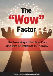 The “Wow” Factor -The New Ways Clinicians Can Use Awe and Gratitude in Therapy - Jonah Paquette