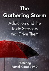 The Gathering Storm -Addiction and the Toxic Stressors that Drive Them - Patrick Carnes