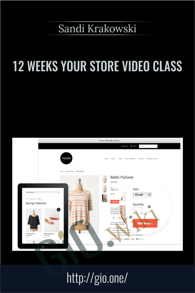 12 Weeks Your Store Video Class - Sandi Krakowski