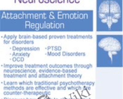 Brain-Based Therapy & Practical Neuroscience-Attachment & Emotion Regulation - Jennifer Sweeton