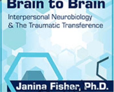 Brain to Brain-Interpersonal Neurobiology and The Traumatic Transference - Janina Fisher