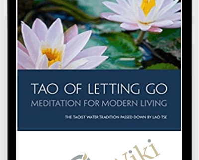The Tao of Letting Go 6CDS - Bruce Frantzis