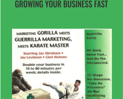 Growing Your Business Fast - Chet Holmes and Rich Schefren