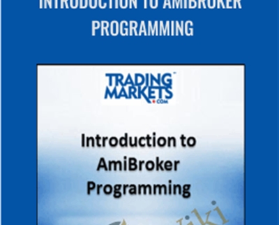 Introduction to AmiBroker Programming - Connors Research
