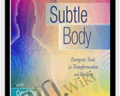 The Subtle Body Training Course - Cyndi Dale