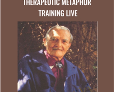 Therapeutic Metaphor Training LIVE - David Gordon
