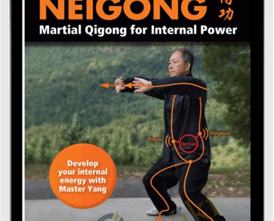 Neigong-Martial Qigong for Internal Power - Yang Jwing-Ming