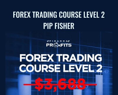 Forex Trading Course Level 2 - Pip Fisher