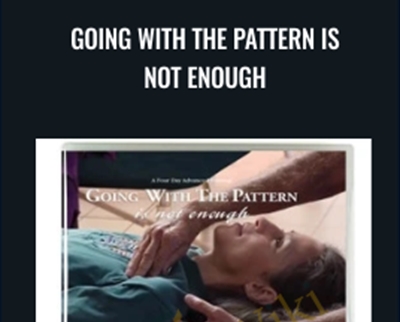 Going With the Pattern Is Not Enough (for feldenkrais practitioners) - Jerry Karzen