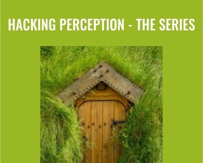 Hacking Perception -The Series - Joseph Riggio