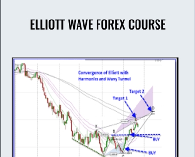 Elliott Wave Forex Course - Jody Samuels