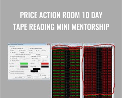 Price Action Room 10 Day Tape Reading Mini Mentorship - Joel Parker