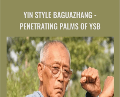 Yin style Baguazhang -Penetrating Palms of YSB - Liu Shichang
