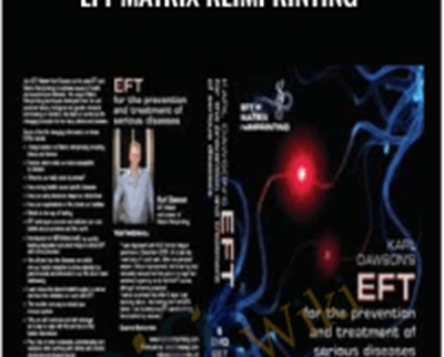 META-Medicine and EFT Matrix ReImprinting - Richard Flook and Karl Dawson