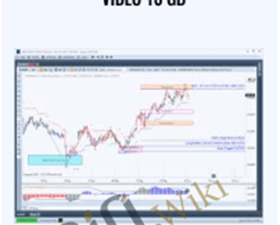 MTPredictor Education Video 10 Gb - Traders Offer