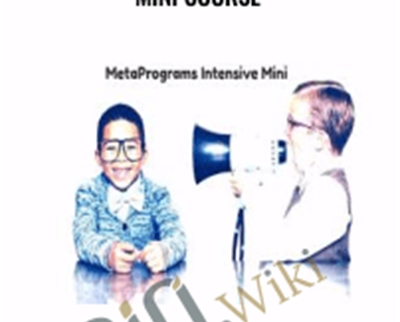MetaPrograms Intensive Mini Course - Joseph Riggio