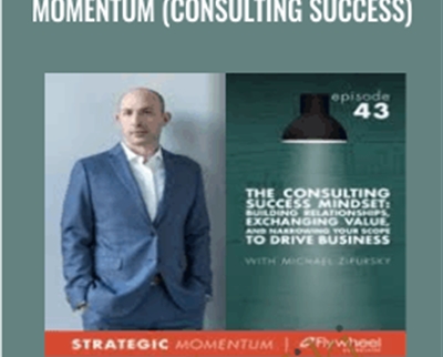 Momentum (Consulting Success) - Michael Zipursky