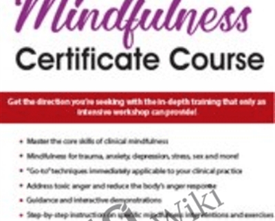 Mindfulness Certificate Course: 2-Day Intensive Training - Terry Fralich
