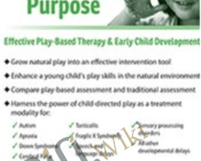Play with a Purpose: Effective Play-Based Therapy and Early Child Development - Cari Ebert