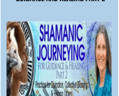Shamanic Journeying for Guidance and Healing part 2 - Sandra Ingerman