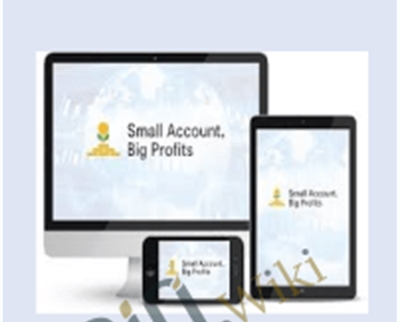 Small Account Big Profits - Walter Peters