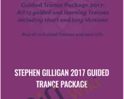 Stephen Gilligan 2017 Guided Trance Package - Stephen Gilligan