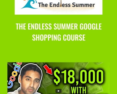 The Endless Summer Google Shopping Course - Sharad Thaper