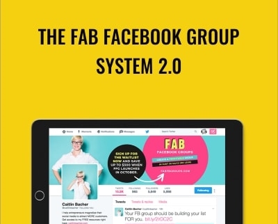 The Fab Facebook Group System 2.0 - Caitlin Bacher