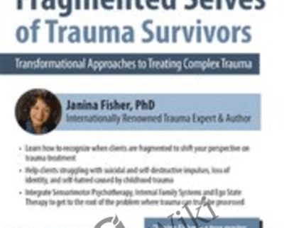 2-Day Certificate Workshop Healing the Fragmented Selves of Trauma Survivors-Transformational Approaches to Treating Complex Trauma - Janina Fisher