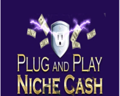 Plug and Play Niche Cash - Andrew Hansen