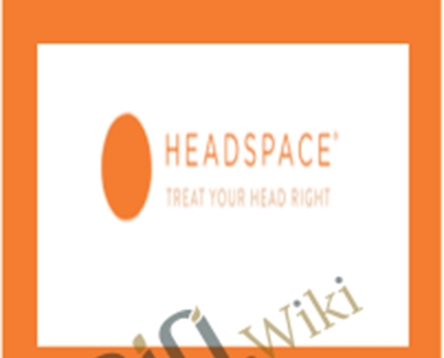 Headspace version 2 - Andy Puddicombe