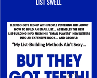 List Swell - Ben Settle