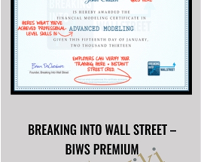 Breaking into Wall Street - BIWS Premium