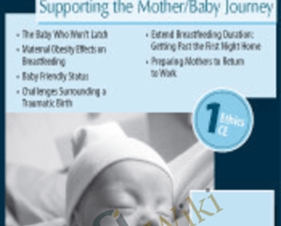 Breastfeeding Success-Supporting the Mother/Baby Journey - Dawn M. Kersula