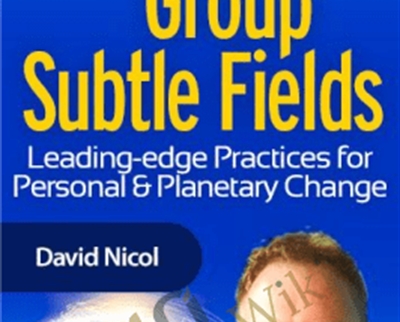 Building Group Subtle Fields - David Nicol