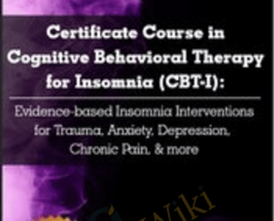 Certificate Course in Cognitive Behavioral Therapy for Insomnia (CBT-I): Evidence-based Insomnia Interventions for Trauma