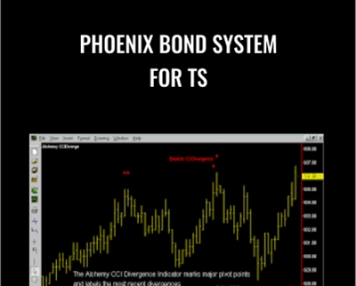 Phoenix Bond System For TS - Charles Lebeau