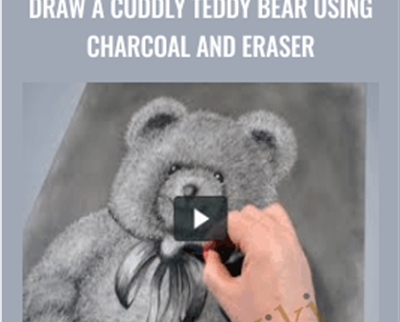 Draw a Cuddly Teddy Bear using Charcoal and Eraser - Cindy Wider