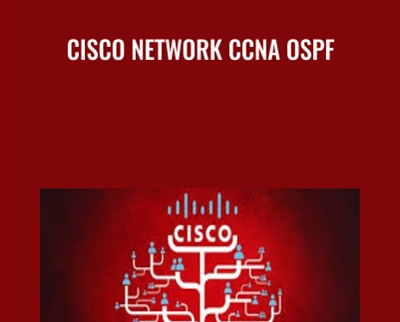 Cisco Network CCNA OSPF - Sam Fitzgerald