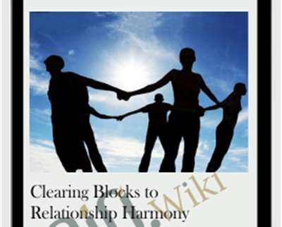 Clearing Blocks to Relationship Harmony - Michael David Golzmane