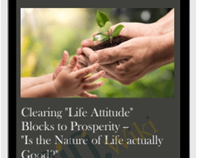 Clearing Life Attitude Blocks to Prosperity-Is the Nature of Life actually Good? - Michael David Golzmane
