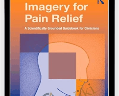 Imagery for Pain Relief: A Scientifically Grounded Guidebook for Clinicians - David Pincus