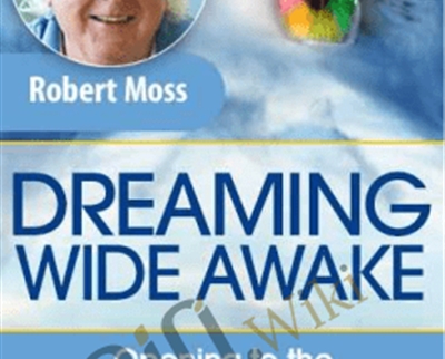 Dreaming Wide Awake - Robert Moss