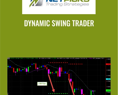 Dynamic Swing Trader - NETPICKS (Unlocked)