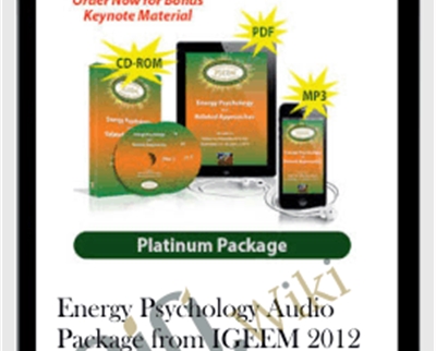 Energy Psychology Audio Package from IGEEM 2012 - Donna Eden